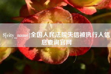 宁德全国人民法院失信被执行人信息查询官网