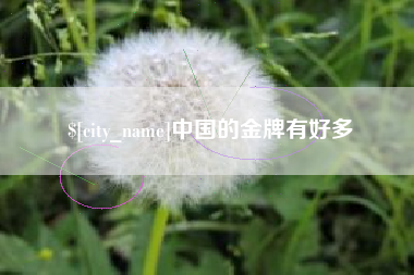 宁德中国的金牌有好多