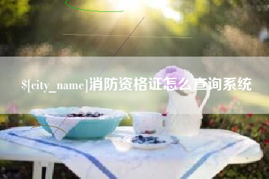 宁德消防资格证怎么查询系统