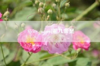宁德第九金是
