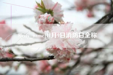 宁德11月9日消防日全称