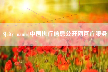 宁德中国执行信息公开网官方服务