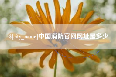 宁德中国消防官网网址是多少