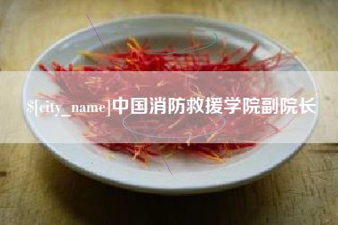 宁德中国消防救援学院副院长
