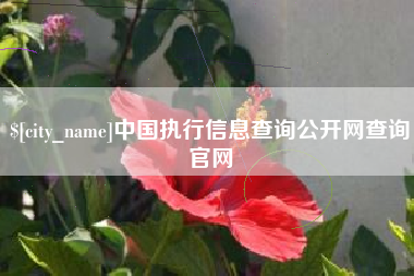 宁德中国执行信息查询公开网查询官网