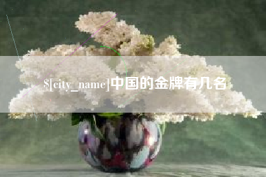 宁德中国的金牌有几名