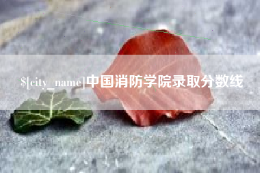 宁德中国消防学院录取分数线