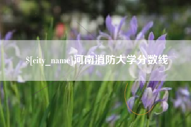 宁德河南消防大学分数线