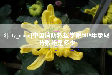 宁德中国消防救援学院2019年录取分数线是多少