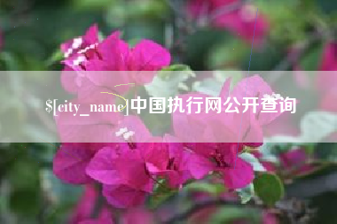 宁德中国执行网公开查询