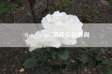 宁德消防证的查询