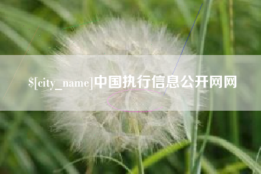 宁德中国执行信息公开网网