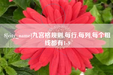 宁德九宫格规则,每行,每列,每个粗线都有1-9