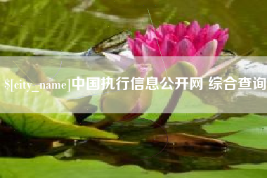 宁德中国执行信息公开网 综合查询