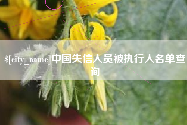 宁德中国失信人员被执行人名单查询