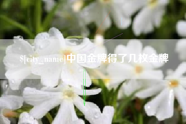 宁德中国金牌得了几枚金牌