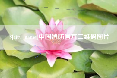 宁德中国消防官方二维码图片