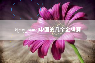 宁德中国的几个金牌啊