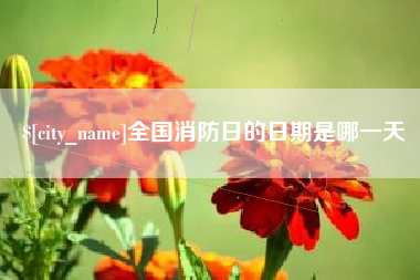 宁德全国消防日的日期是哪一天