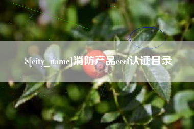 宁德消防产品cccf认证目录