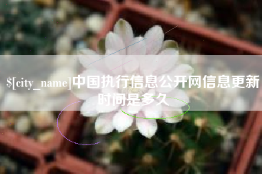 宁德中国执行信息公开网信息更新时间是多久