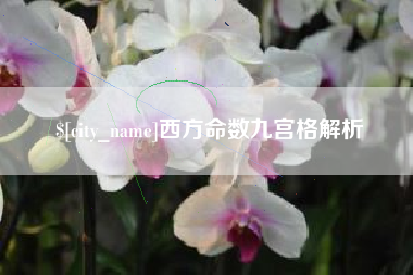 宁德西方命数九宫格解析