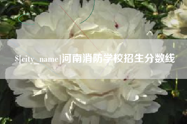 宁德河南消防学校招生分数线