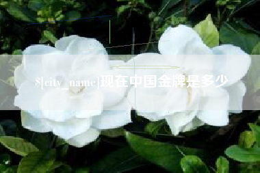 宁德现在中国金牌是多少