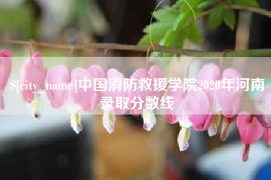 宁德中国消防救援学院2020年河南录取分数线