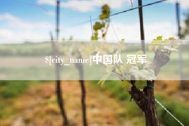 宁德中国队 冠军