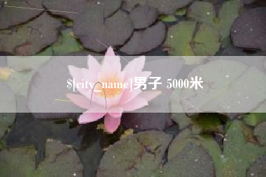 宁德男子 5000米