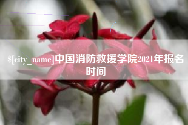 宁德中国消防救援学院2021年报名时间