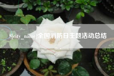 宁德全国消防日主题活动总结