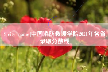 宁德中国消防救援学院2021年各省录取分数线