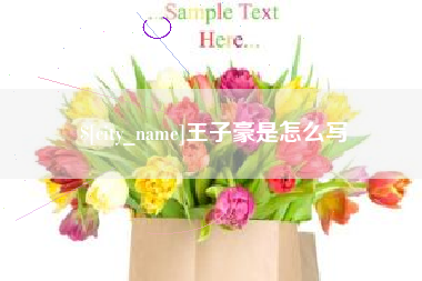 宁德王子豪是怎么写