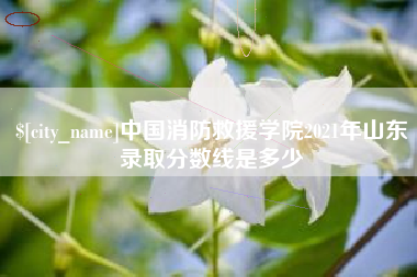宁德中国消防救援学院2021年山东录取分数线是多少
