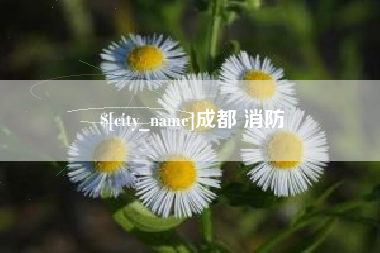 宁德成都 消防