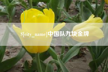 宁德中国队九块金牌