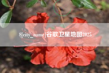 宁德谷歌卫星地图2025
