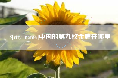 宁德中国的第九枚金牌在哪里