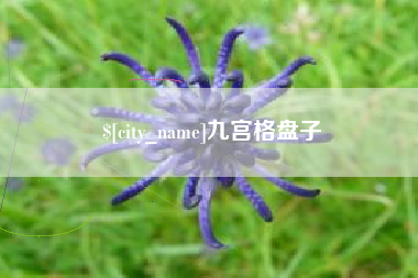 宁德九宫格盘子