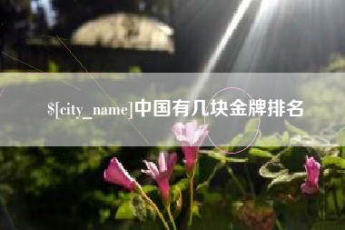 宁德中国有几块金牌排名