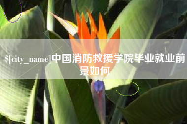 宁德中国消防救援学院毕业就业前景如何