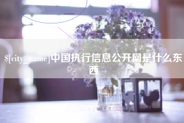 宁德中国执行信息公开网是什么东西