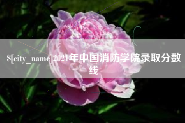 宁德2021年中国消防学院录取分数线