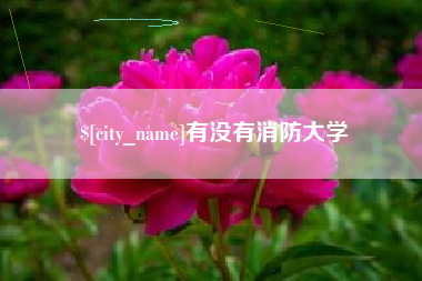 宁德有没有消防大学