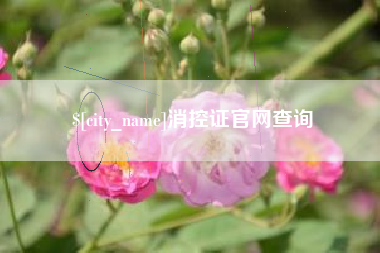 宁德消控证官网查询