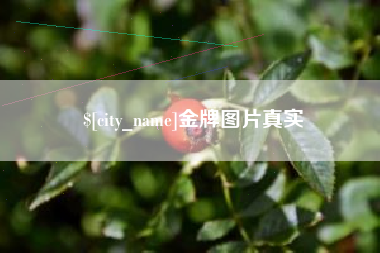 宁德金牌图片真实