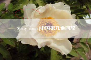 宁德中国第九金回放