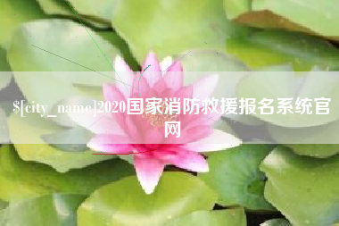 宁德2020国家消防救援报名系统官网